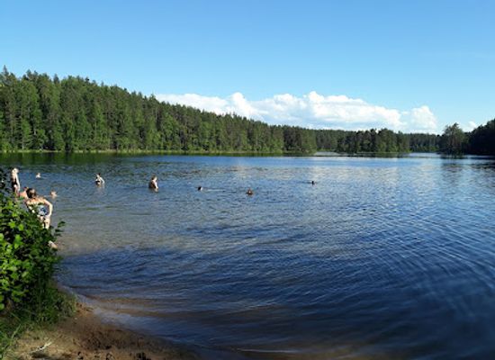 estonia/laane-viru-county/landmark/viitna-nature-trail