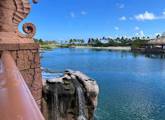 the-bahamas/nassau/paradise-island/landmark/marine-habitat-at-atlantis