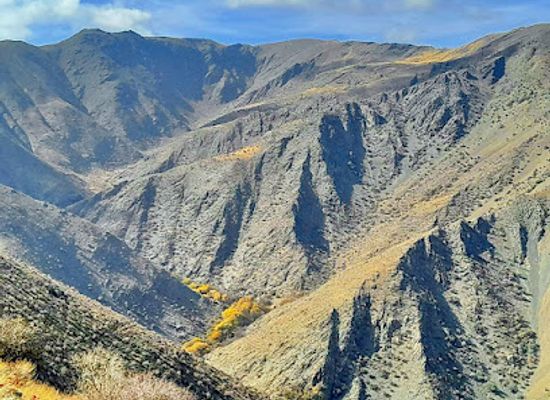 uzbekistan/nuratau-mountains/landmark/ancient-petroglyphs-in-the-nuratau-mountains