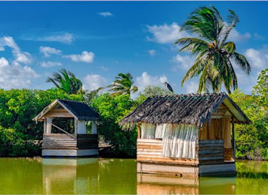maldives/gnaviyani-atoll/landmark/south-palm-maldives