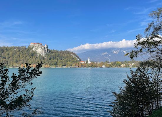 slovenia/bled/landmark/straza-hill-above-lake-bled