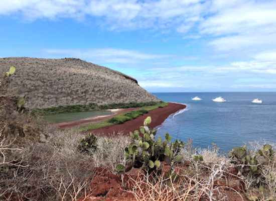 ecuador/galapagos-islands/landmark/rabida-island