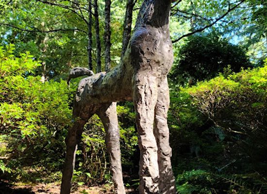 washington/bellingham/landmark/big-rock-garden-park