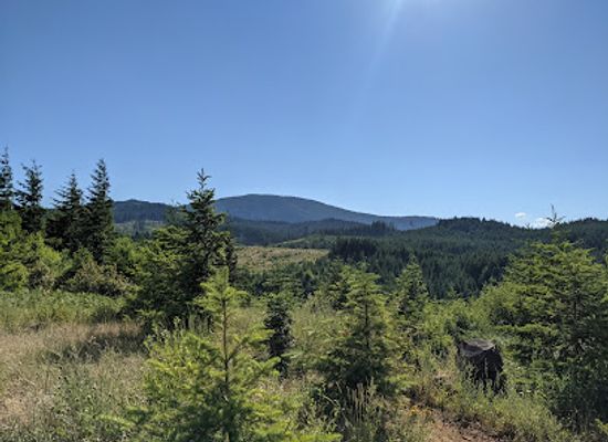 oregon/mount-hood-national-forest/landmark/mount-hood-wilderness