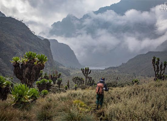 uganda/rwenzori-mountains-national-park/landmark/rwenzori-forest-reserve