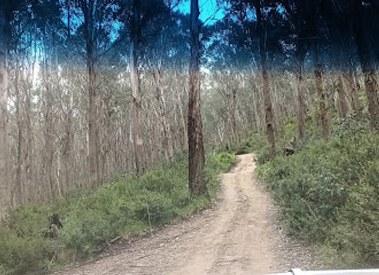 australia/high-country/landmark/high-country-scenic-tours
