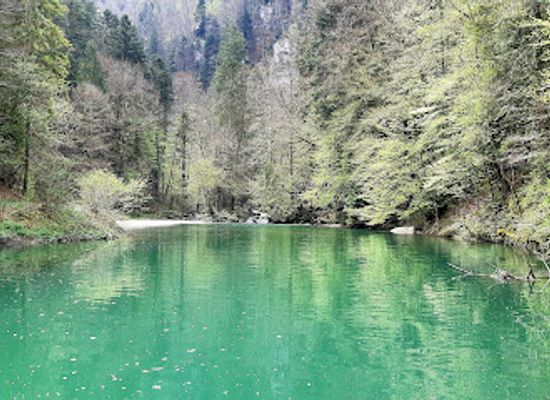 switzerland/jura-mountains/landmark/lac-vert-d-undervelier