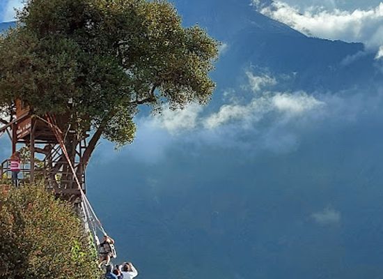 ecuador/sierra/landmark/la-casa-del-arbol
