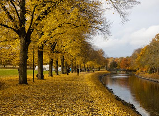 sweden/stockholm/landmark/royal-djurgarden