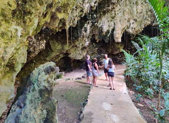 barbados/animal-flower-cave/landmark/welchman-hall-gully