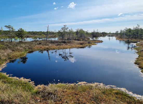 latvia/latgale-upland/landmark/kemeri-national-park