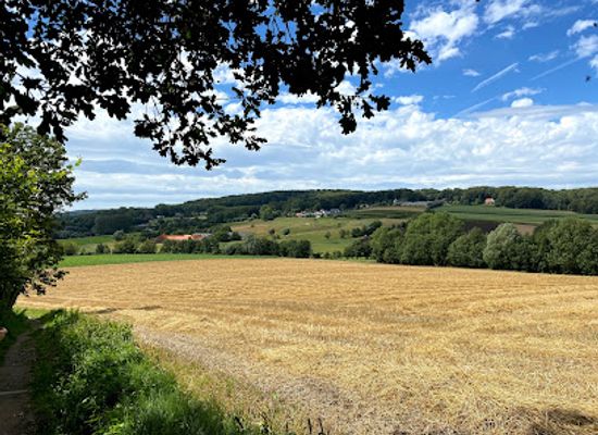 belgium/east-flanders/landmark/muziekbos