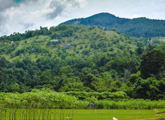 sri-lanka/kandy-district/landmark/megoda-kalugamuwa-ambalama