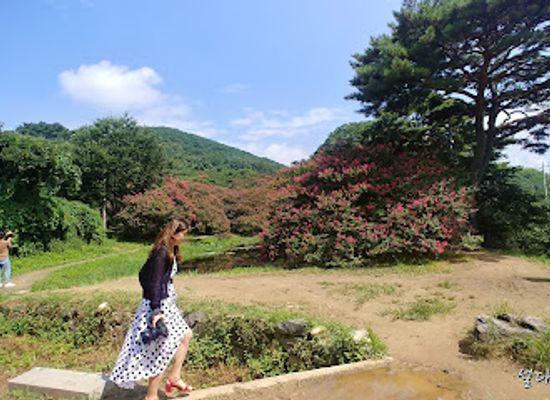 south-korea/gwandong-region/landmark/myeongokheon-wonrim-garden