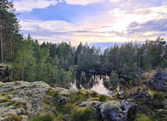 finland/vaasa/landmark/kunileden