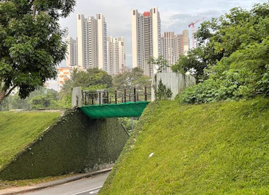 singapore/bukit-batok/landmark/maju-forest