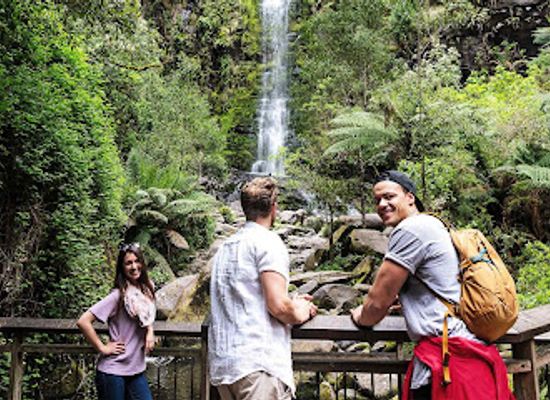 australia/western-victoria/landmark/erskine-falls