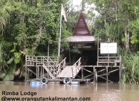 indonesia/kalimantan/landmark/pt-orang-utan-kalimantan-tour-travel