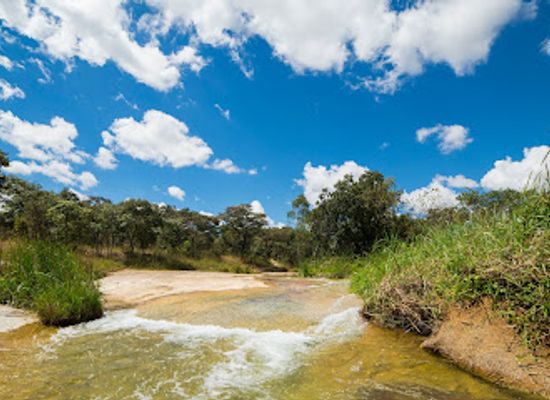 zimbabwe/lowveld/landmark/mukuvisi-woodlands