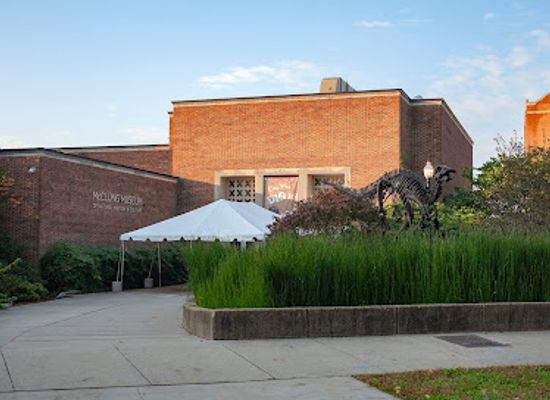 tennessee/knoxville-metropolitan-area/landmark/mcclung-museum-of-natural-history-culture