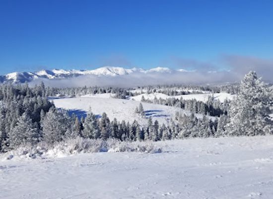 oregon/wallowa-county/landmark/salt-creek-summit-sno-park
