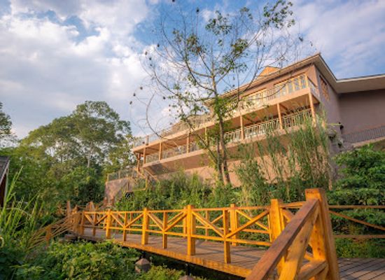 uganda/kibale-national-park/landmark/chimpundu-lodge-kibale-forest