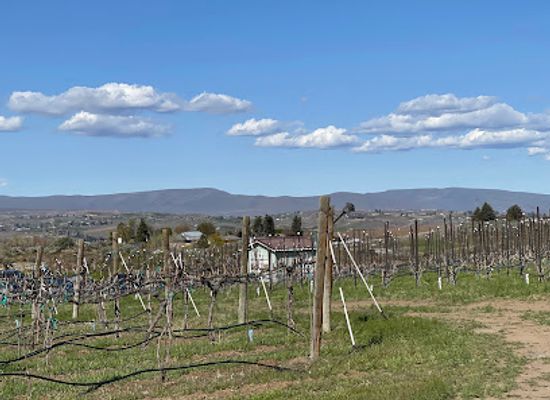 washington/the-yakima-valley/landmark/wilridge-vineyard-winery-distillery