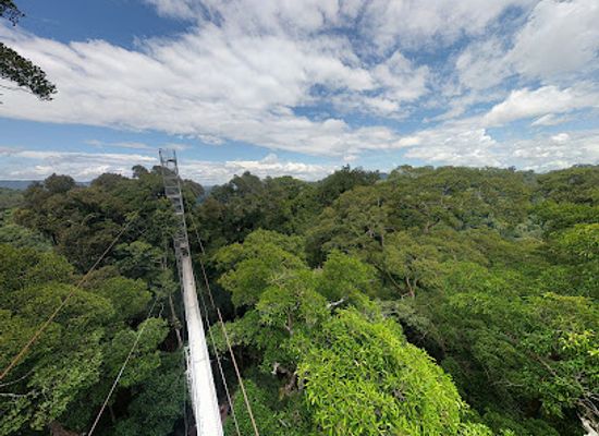 brunei/jerudong/landmark/ulu-temburong-national-park