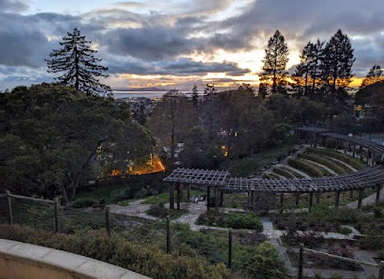 california/berkeley/downtown-berkeley/landmark/berkeley-rose-garden