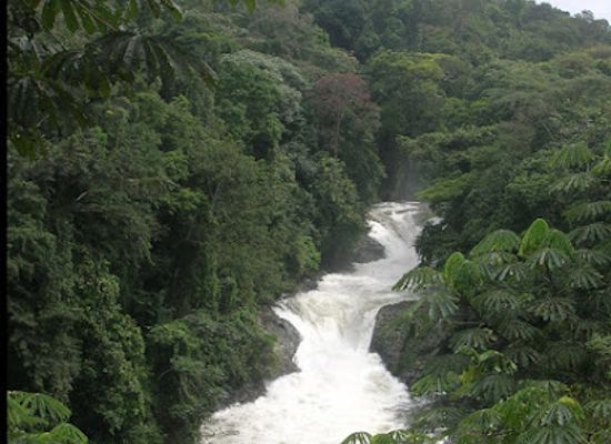 cameroon/adamawa/landmark/cross-river-national-park