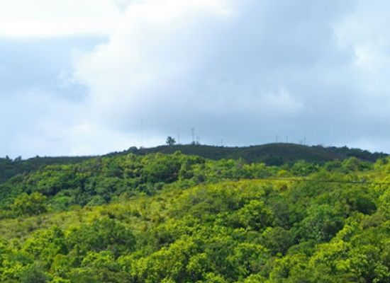 palau/babeldaob/landmark/mount-ngerchelchuus