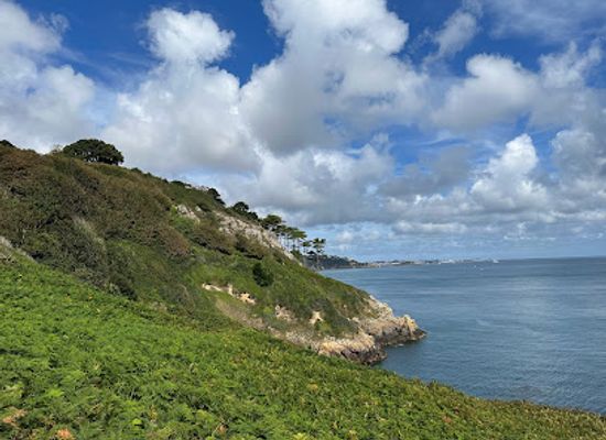 guernsey/herm/landmark/herm-guernsey-oysters