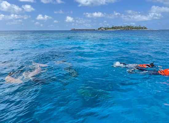 maldives/vaavu-atoll/landmark/dhiggiri-shark-point