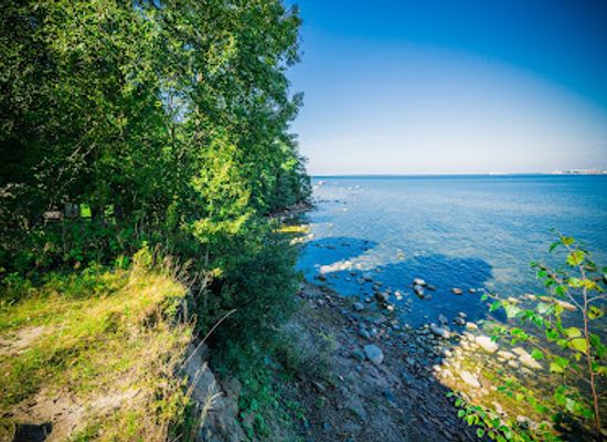estonia/tallinn/landmark/estonian-open-air-museum