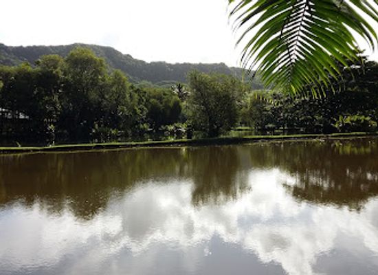 mauritius/grand-port/landmark/le-val-nature-park