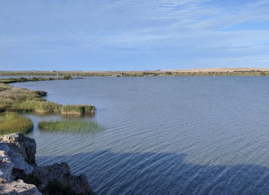 australia/coorong/landmark/point-malcolm