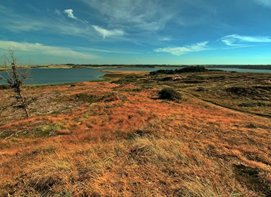 denmark/thy-national-park/landmark/isbjerg-nationalpark-thy