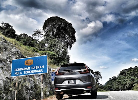 malaysia/kelantan/landmark/the-famous-ficus-hanging-tree