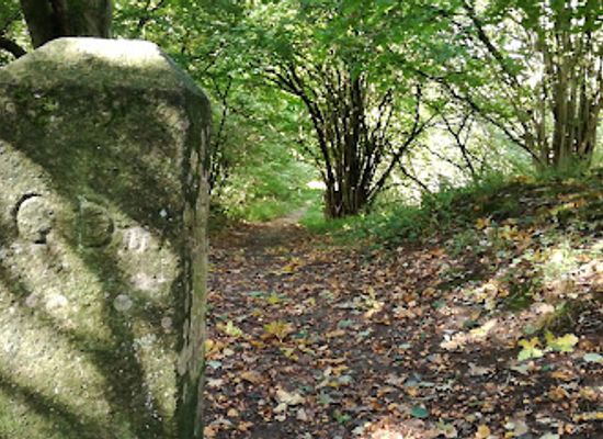 germany/schleswig/landmark/unesco-welterbe-haithabu-und-danewerk-margarethenwall-verbindungswall