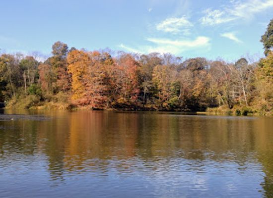 west-virginia/weirton/landmark/tomlinson-run-state-park