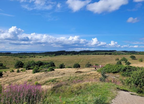 denmark/mols-bjerge/attraction/kvalitetssti-mols-bjerge-bjergetapen