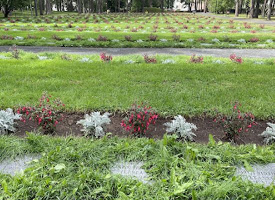 finland/rovaniemi/landmark/rovaniemi-ii-cemetery
