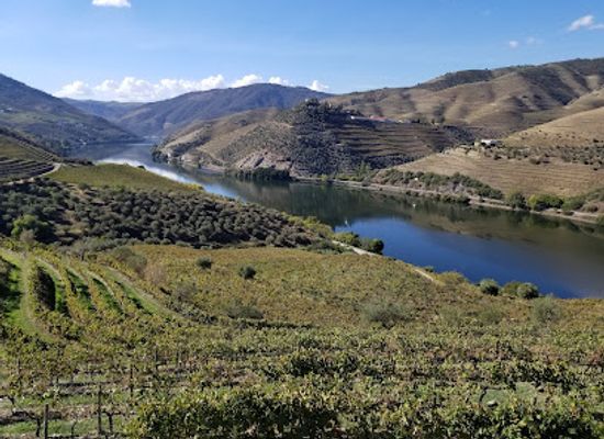 portugal/douro-valley/landmark/magnifico-douro-events-ltd