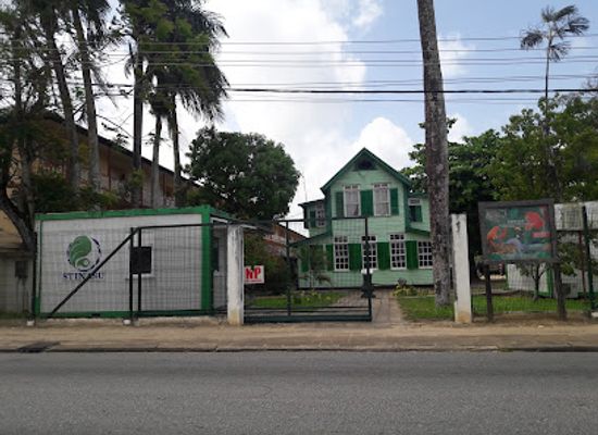 suriname/wanica-district/landmark/brownsberg