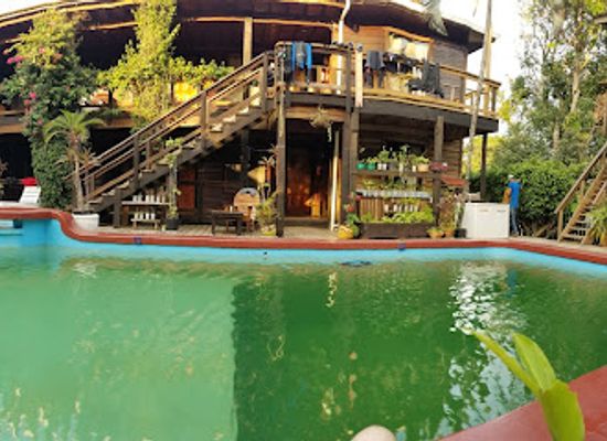 honduras/utila/landmark/mango-inn-bar-grill