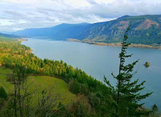 oregon/hood-river-county/landmark/cape-horn-falls