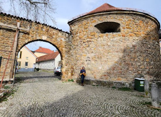 slovenia/celje/landmark/celje-water-tower