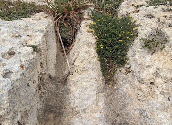 malta/gozo/landmark/cart-ruts