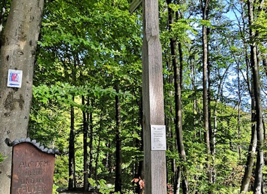 germany/spessart/landmark/stempel-hohe