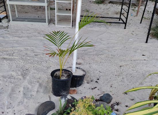 anguilla/sandy-ground-village/landmark/sandy-ground